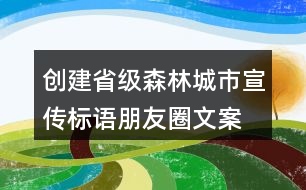 創(chuàng)建省級(jí)森林城市宣傳標(biāo)語(yǔ)、朋友圈文案37句