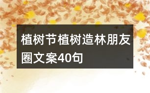 植樹節(jié)、植樹造林朋友圈文案40句