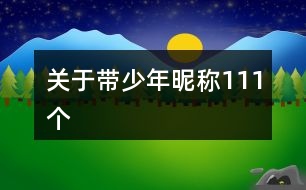 關于帶少年昵稱111個