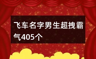 飛車(chē)名字男生超拽霸氣405個(gè)