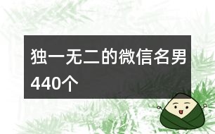 獨(dú)一無二的微信名男440個