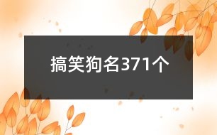 搞笑狗名371個(gè)