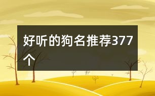 好聽的狗名推薦377個(gè)