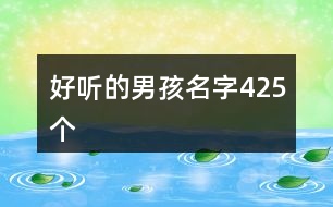 好聽的男孩名字425個(gè)