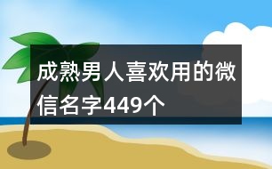 成熟男人喜歡用的微信名字449個