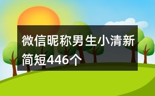 微信昵稱(chēng)男生小清新簡(jiǎn)短446個(gè)