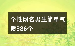 個性網(wǎng)名男生簡單氣質(zhì)386個