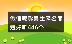 微信昵稱(chēng)男生網(wǎng)名簡(jiǎn)短好聽(tīng)446個(gè)
