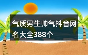 氣質男生帥氣抖音網(wǎng)名大全388個