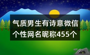 氣質男生有詩意微信個性網名昵稱455個