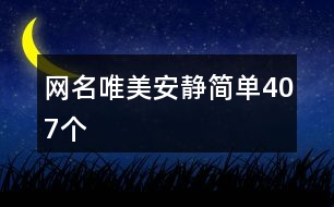 網(wǎng)名唯美安靜簡單407個(gè)
