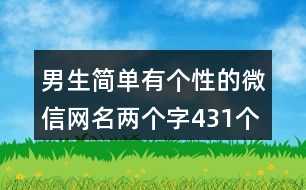 男生簡單有個性的微信網名兩個字431個