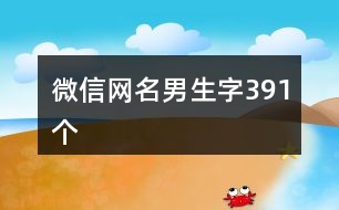 微信網(wǎng)名男生字391個(gè)