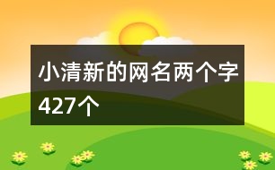 小清新的網(wǎng)名兩個字427個