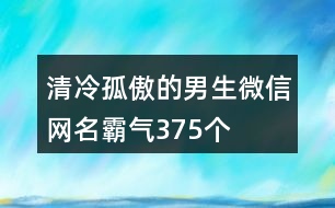 清冷孤傲的男生微信網(wǎng)名霸氣375個(gè)