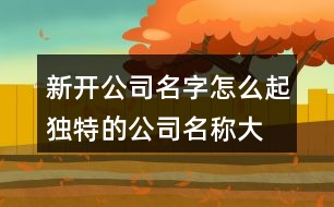 新開公司名字怎么起,獨(dú)特的公司名稱大全432個