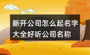 新開公司怎么起名字大全,好聽公司名稱大全免費(fèi)373個(gè)