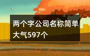 兩個(gè)字公司名稱簡(jiǎn)單大氣597個(gè)