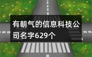 有朝氣的信息科技公司名字629個