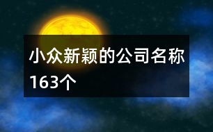 小眾新穎的公司名稱(chēng)163個(gè)