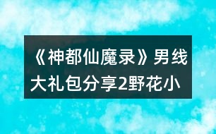 《神都仙魔錄》男線大禮包分享2野花小金庫(kù)10花大金庫(kù)攻略