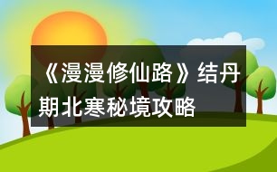 《漫漫修仙路》結(jié)丹期北寒秘境攻略