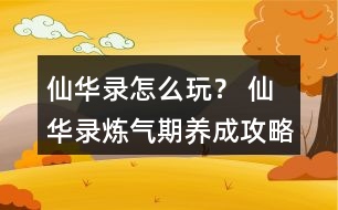 仙華錄怎么玩？ 仙華錄煉氣期養(yǎng)成攻略