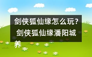 劍俠狐仙緣怎么玩？ 劍俠狐仙緣潘陽(yáng)城養(yǎng)成攻略