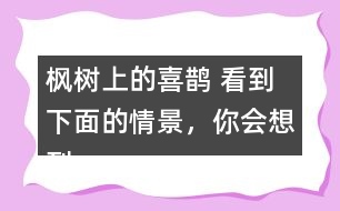 楓樹上的喜鵲 看到下面的情景，你會想到什么?試著寫下來。