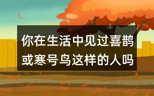 你在生活中見過喜鵲或寒號(hào)鳥這樣的人嗎?說說他的小故事。