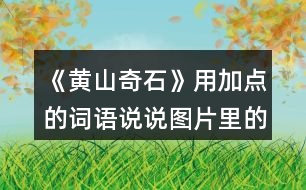 《黃山奇石》用加點(diǎn)的詞語(yǔ)說(shuō)說(shuō)圖片里的石頭，再選一張圖片寫(xiě)下來(lái)。