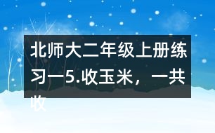 北師大二年級上冊練習(xí)一5.收玉米，一共收了多少根玉米。