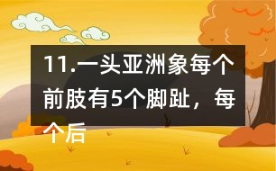 11.一頭亞洲象每個前肢有5個腳趾，每個后肢有4個腳趾，這頭亞洲象一共有多少個腳趾?