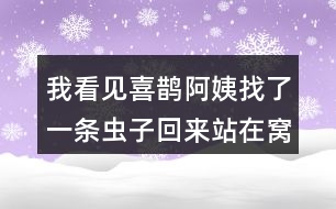 我看見(jiàn)喜鵲阿姨找了一條蟲(chóng)子回來(lái)站在窩邊，猜猜喜鵲弟弟會(huì)說(shuō)什么？