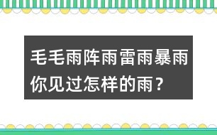 毛毛雨,陣雨,雷雨,暴雨你見過怎樣的雨？當(dāng)時(shí)的情景？