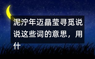 泥濘年邁晶瑩尋覓說說這些詞的意思，用什么方法知道的