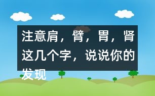注意肩，臂，胃，腎這幾個字，說說你的發(fā)現