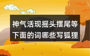 神氣活現(xiàn)搖頭擺尾等下面的詞哪些寫狐貍，哪些寫老虎的