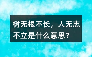 樹(shù)無(wú)根不長(zhǎng)，人無(wú)志不立是什么意思？