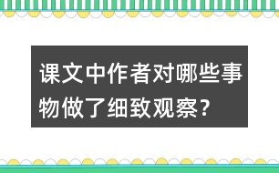 課文中作者對哪些事物做了細致觀察？