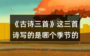 《古詩(shī)三首》這三首詩(shī)寫的是哪個(gè)季節(jié)的景色？你是從哪些地方發(fā)現(xiàn)的？