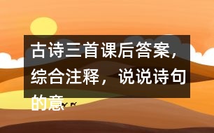 古詩三首課后答案，綜合注釋，說說詩句的意思？