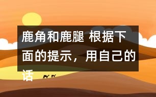 鹿角和鹿腿 根據(jù)下面的提示，用自己的話講講這個故事。