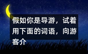 假如你是導(dǎo)游，試著用下面的詞語，向游客介紹趙州橋