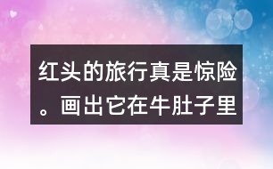 紅頭的旅行真是驚險。畫出它在牛肚子里旅行的路線，再把這個故事講給別人聽。