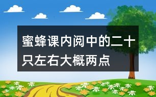 蜜蜂課內(nèi)閱中的二十只左右、大概、兩點四十分等詞中,你體會到了什么?
