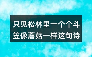 只見(jiàn)松林里一個(gè)個(gè)斗笠像蘑菇一樣這句詩(shī)的意思是什么？