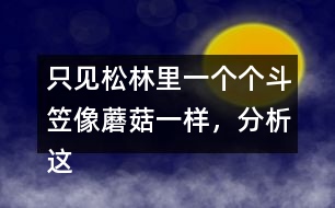 只見松林里一個個斗笠像蘑菇一樣，分析這句話是什么意思
