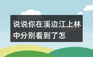說說你在溪邊、江上、林中分別看到了怎樣的畫面,任選其中一個(gè)寫下來