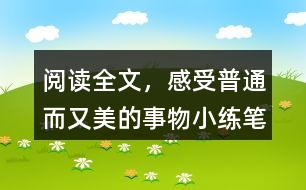 閱讀全文，感受普通而又美的事物小練筆